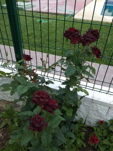 Apartamento Laguna Beach, Torrox Costa, M�laga