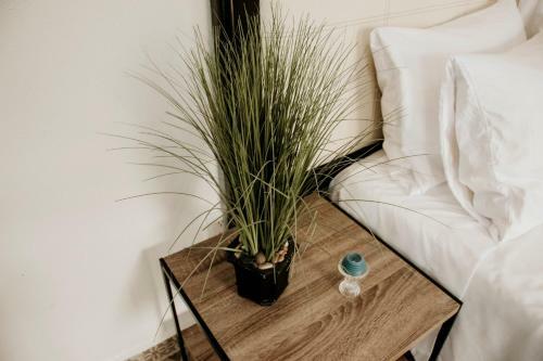 Apartamento Loft Allende