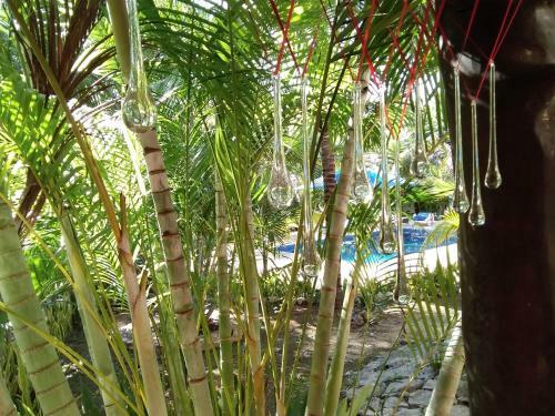 Agroturismo Villas Tortugas Akumal