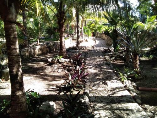 Agroturismo Villas Tortugas Akumal