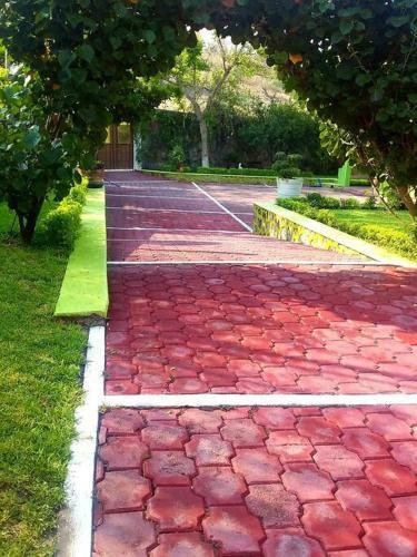 Casa En Renta En Morelos