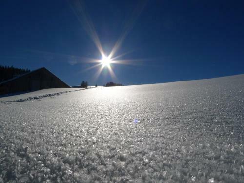 Apartamento Alpenhaus Dachstein.zauber