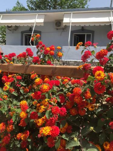 Hotel Villa Praljan