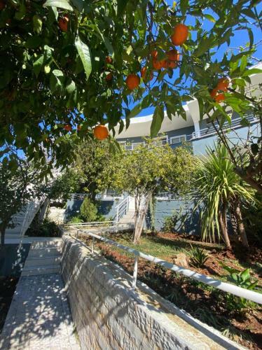Bed & Breakfast Nonna's Boutique Hotel