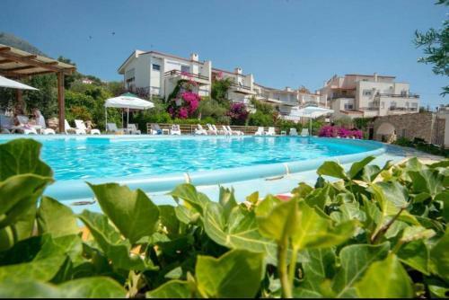 Apartamento The Olives Terrace Residences