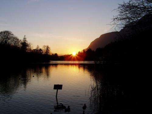 Apartamento Appartement-reintalersee