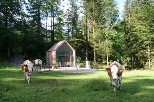 Ebner's Wohlf�hlhotel Gasthof Hintersee