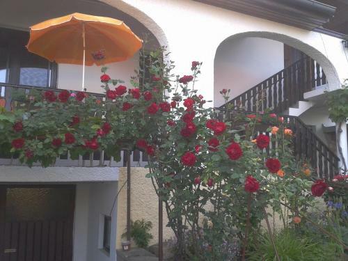 Apartamento Ferienwohnungen Feldsee