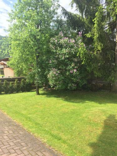 Apartamento Haus Alpenrose
