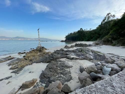 Apartamento �tico En Moa�a- A Xunqueira