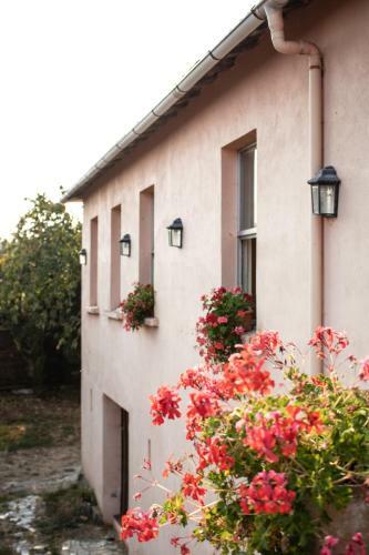 Casa Con Finca En Pol (Monforte de Lemos)