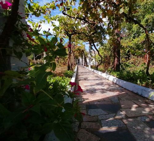 Morin Grey Casa En El Coraz�n de La Ribeira Sacra