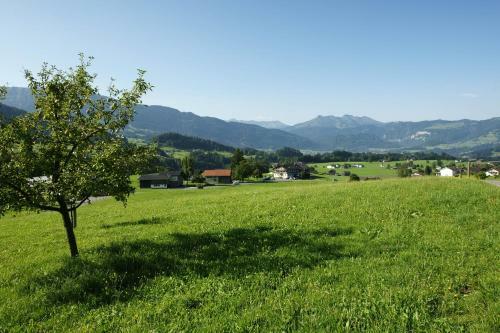 Hotel Gasthof W�lderhof