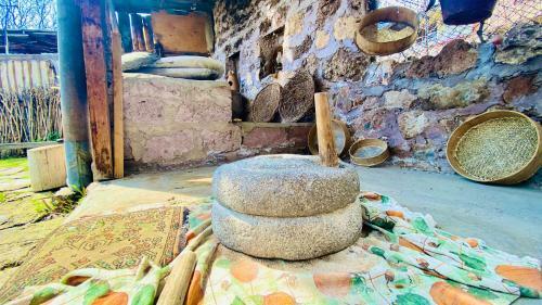 Hostal Tonatsuyts Guest House