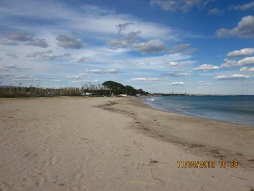 House Beach Las Palmeiras