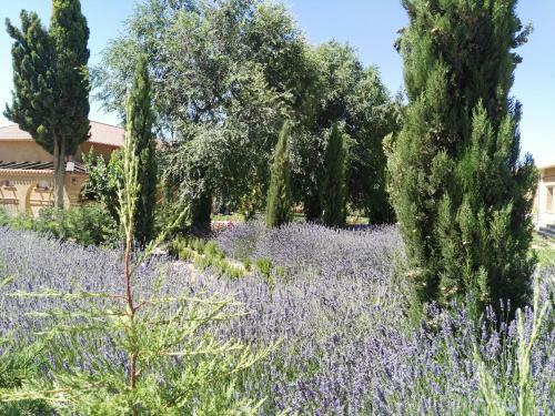Apartamento La Aldea Colorada