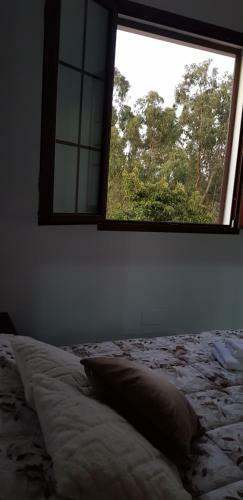 Lodge Casitas Guti�rrez