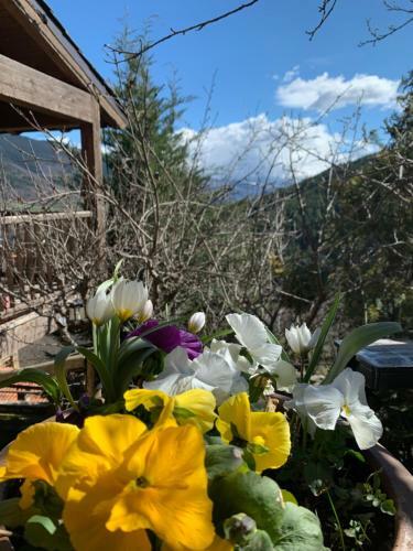 Casa Rural Pirineu Nev�