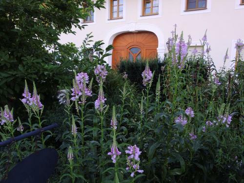 Hostal Bauernhofpension Herzog Zu Laah