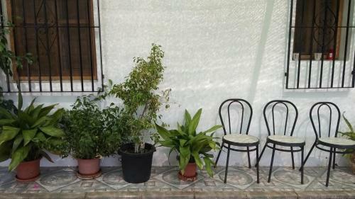 Agroturismo Casa Rural La Yedra