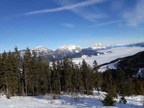Apartamento Appartement Langegger