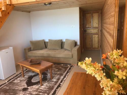Hotel Nashos Deluxe Bungalows