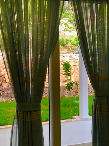 Hotel Aphrodite Garden Rooms & Apartment