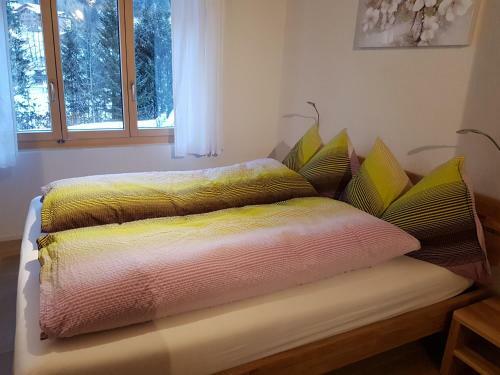 Apartamento Chalet Gr�neggli