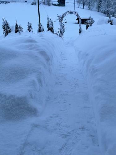 Apartamento Gassi 4 Adelboden