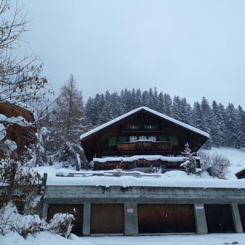 Apartamento Chalet Gotthelf Gartenstudio, Ferien Mit Hund
