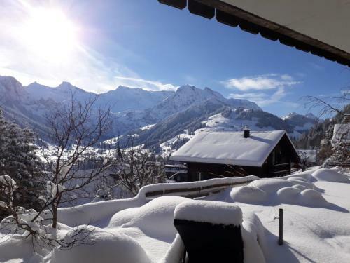 Apartamento Chalet Gotthelf Gartenstudio, Ferien Mit Hund