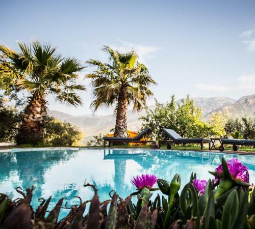 Hotel Kaliyoga Retreats