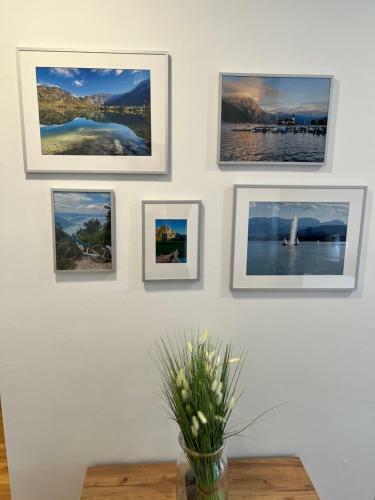 Neues Traunsee Apartment Altm�nster