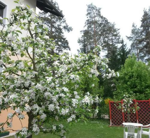 Apartamento Ferienwohnung Kerth