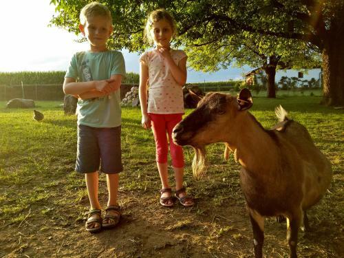 Agroturismo Erlebnisbauernhof Tschom