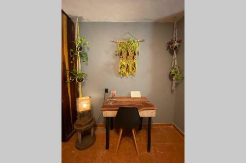 Apartamento Casa Venado, By Jungla Bacalar