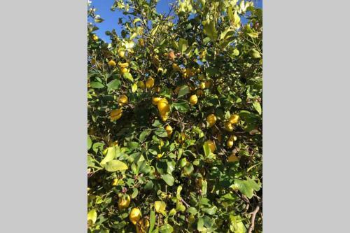 Villa Finca In de Natuur