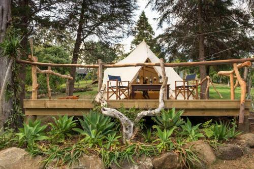 The Primrose At Paradise Valley Glamping