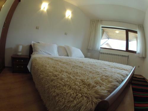 Ski In - Ski Out Kosara Bansko Apartment