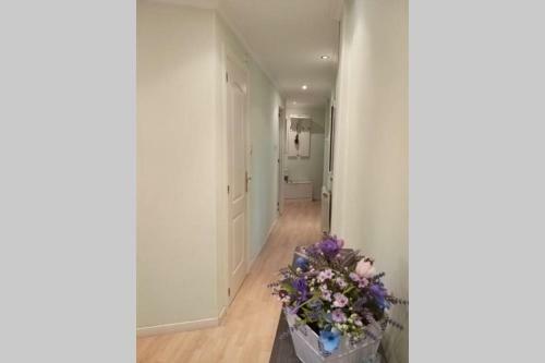 Apartamento Piso En Avenida Pumar�n . Wifi