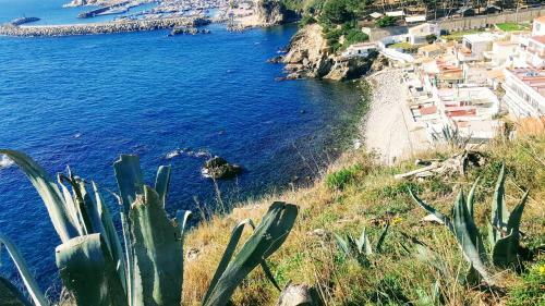 Apartamento En La Fosca