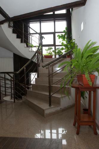 Apartamento Feels Like Home "red Tulip"