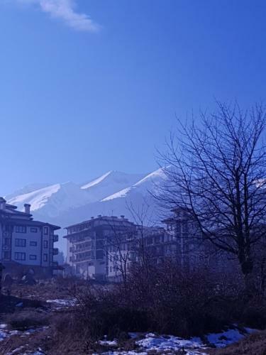 Royal Bansko Aparthotel 206d