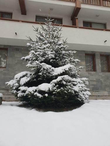 Royal Bansko Aparthotel 206d