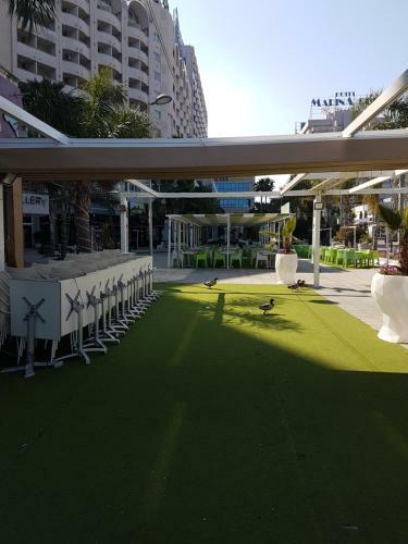 Apartamento Bahia Park 1a Linea Marina D'or
