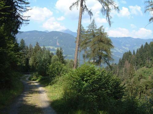 Apartamento Appartementhaus Angelika