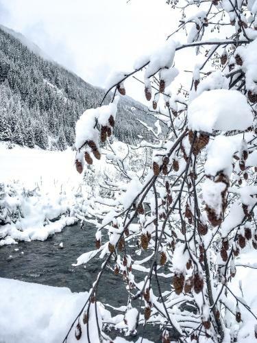 Apartamento Appartement Alpenzauber