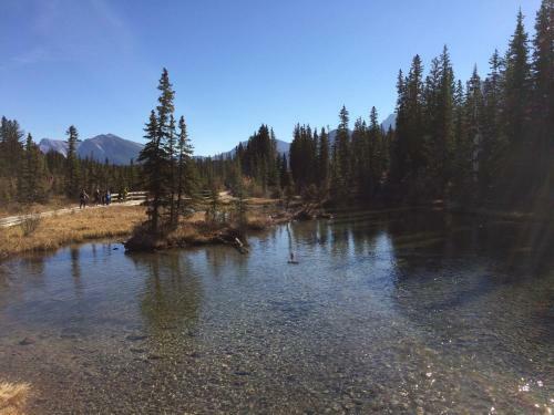 Apartment 405 Bear Creek Crossing
