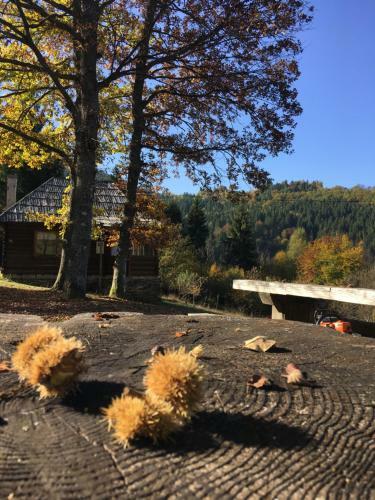 Koliba Za Odmor U Prirodi