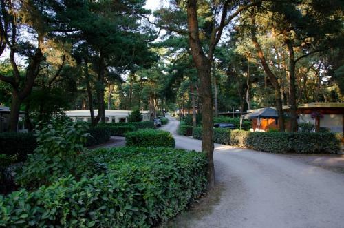 Safaritent At Camping Gt Keiheuvel